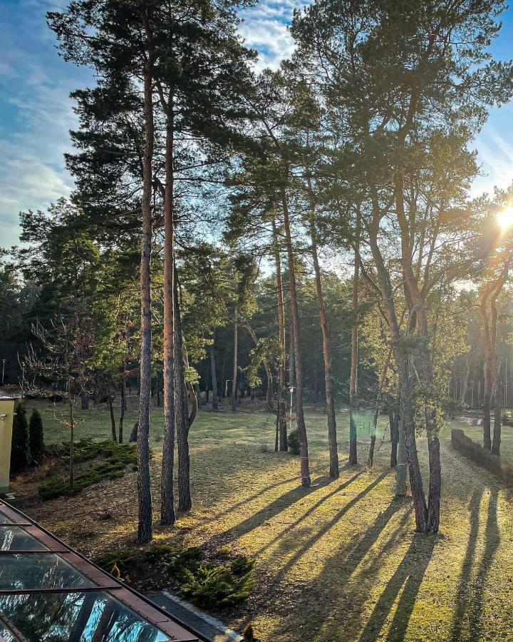 Park Rekreacyjno-Biznesowy Las Woda Wilga Luaran gambar